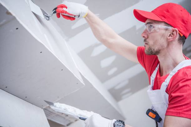 Best Drywall Sanding and Smoothing  in USA